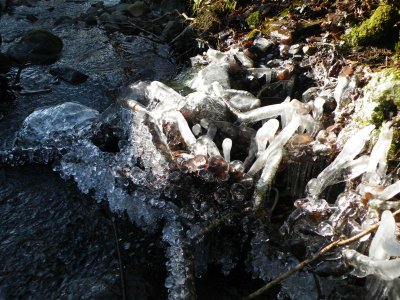 13.48pm stream icicles