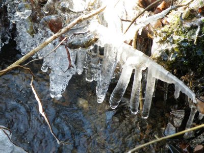 13.48pm stream icicles