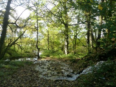 Streams below the Pump House