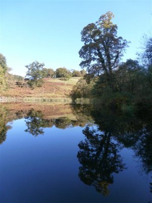 Dinefwr Mill pond