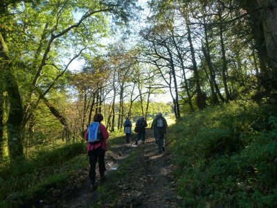 Through Castle Woods