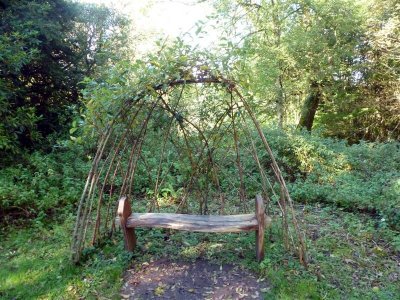 Living willow seat