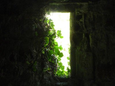 Ivy clad window in Dinefwr Castle