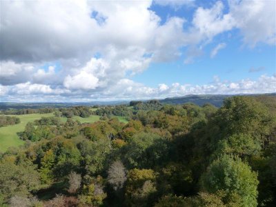 Dinefwr landscape