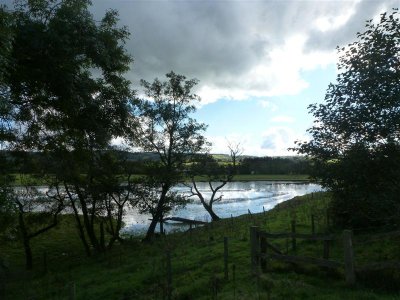 Twyi meadows from Castle Wood
