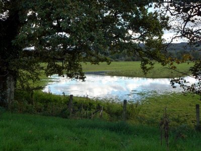 Twyi meadows from Castle Wood