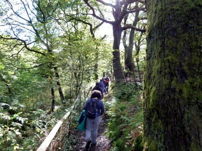 Ramblers heading through the woodland path