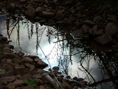 Puddle reflections