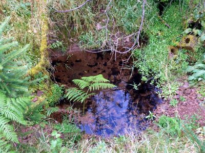 Magic pool