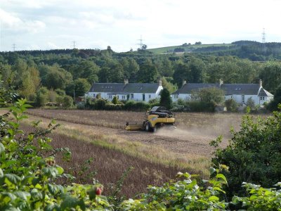 The harvest begins