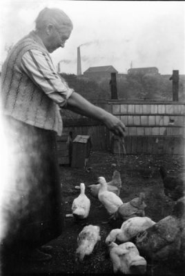 Mums grandma Rayner feeding fowl_negMscan (Medium).jpg