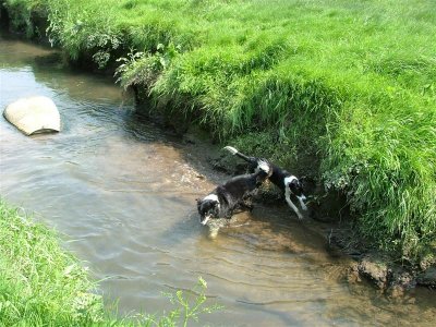 Jess and Flow retrieving in the stream