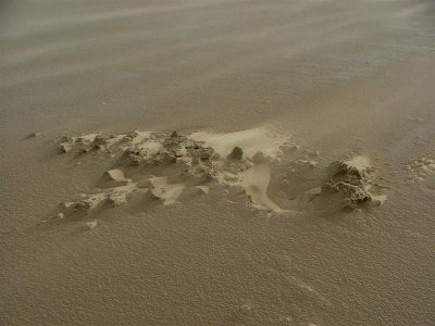 Windblasted sand sculpture