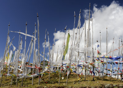 Prayer Flags at Chelela 12,000 ft.
