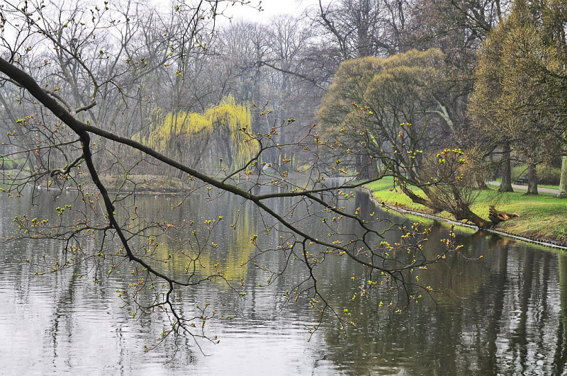 DSC_7185warszawa.jpg