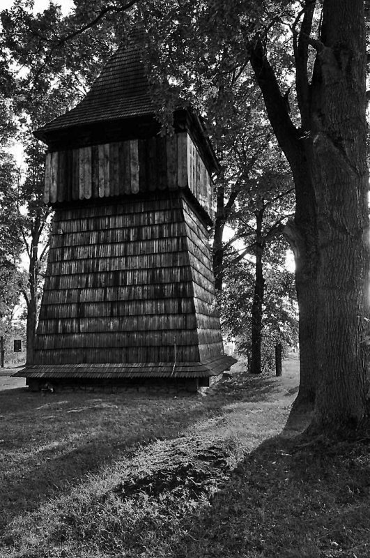 DSC_7699bw.jpg