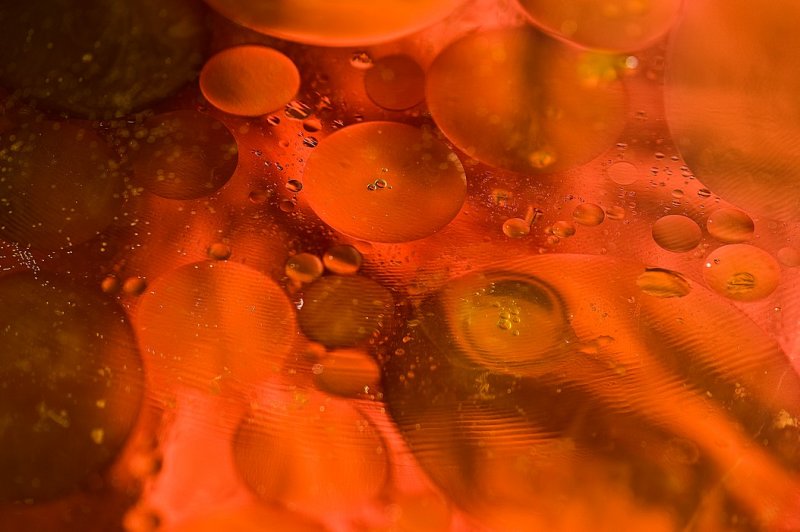 DSC_3162.jpg