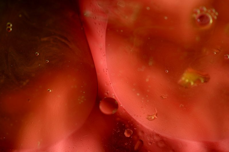 DSC_3140.jpg