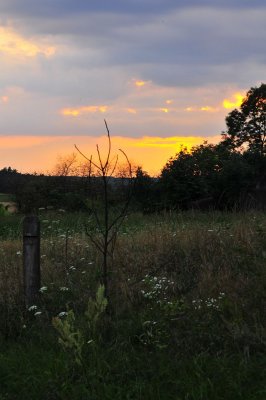 DSC_3205.jpg