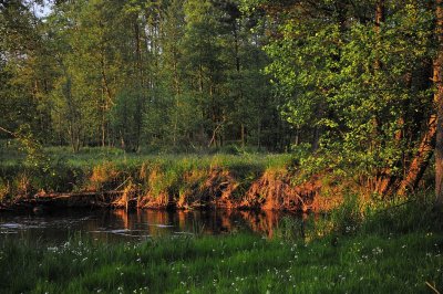 DSC_5623.jpg