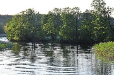 DSC_6055.jpg