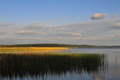 DSC_5991.jpg