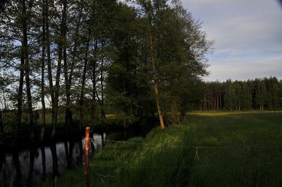 DSC_5508.jpg