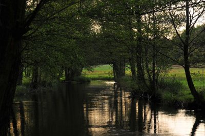 DSC_5540.jpg