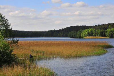 DSC_5929.jpg