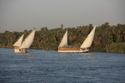 The Nile (5)