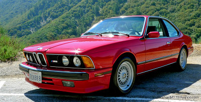 BMW M6 E24 1988: The Shark