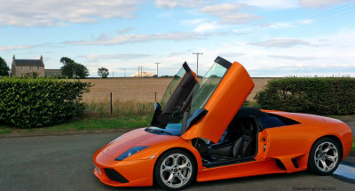 murcielago