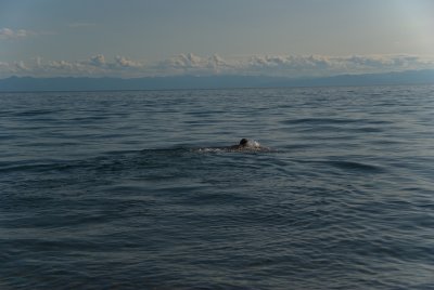 g1/70/579670/3/132503819.zW5APwdl.jpg
