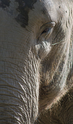 Buffalo Zoo NY - September 2008
