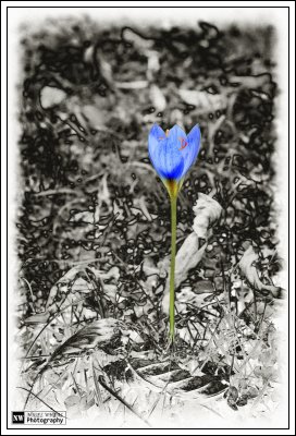 DSC_7704-168-Edit-2-2.jpg