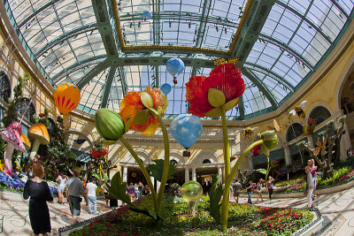  Wonderland garden Bellagio.