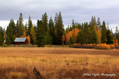 Eastern Sierra