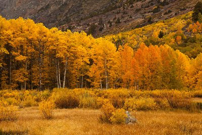 Lundy Canyon