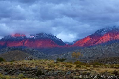 Inyo County Buttermilk