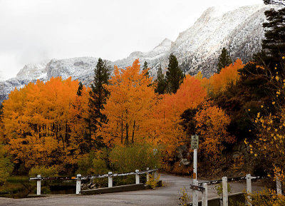 Eastern Sierra