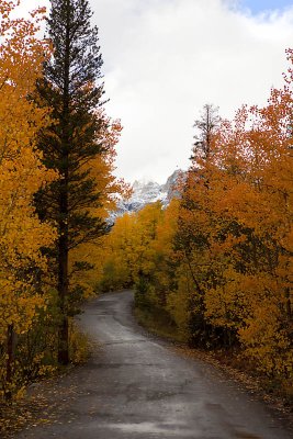 Eastern Sierra