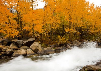 Eastern Sierra