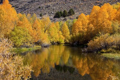 Eastern Sierra