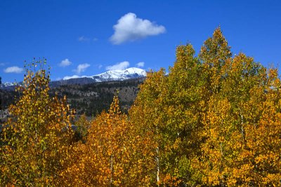 June Lake