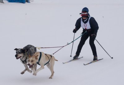 Anchorage Skijoring, 13 February, 2011