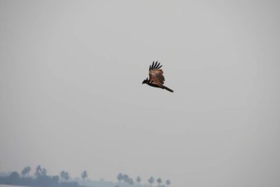 India20091044.jpg