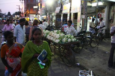 India2009337.jpg