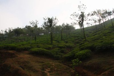 India2009752.jpg