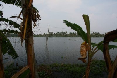 India2009839.jpg