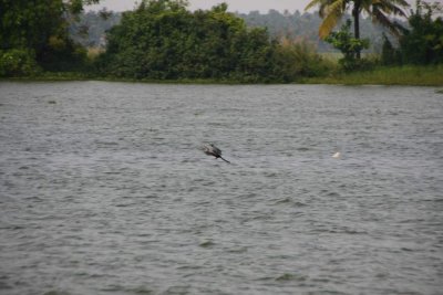 India2009851.jpg